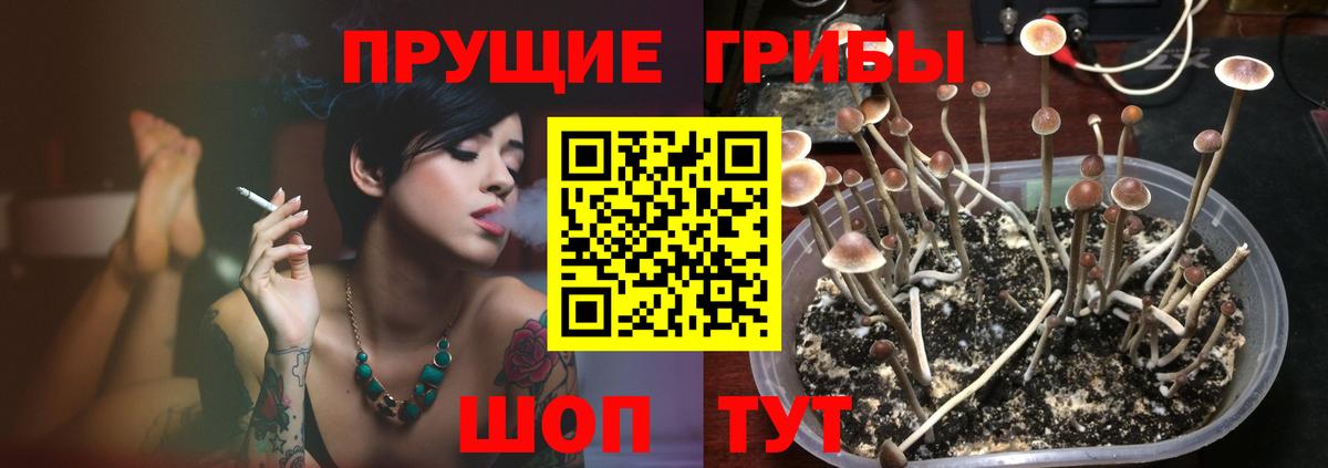 Псилоцибиновые грибы ЛСД  Вход с VPN  Галлюциногенные грибы Psilocybine cubensis  Жигулёвск 